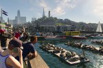 Un trailer di Watch Dogs 2 mostra i miglioramenti presenti nella versione PC utilizzando schede NVIDIA - Notizia