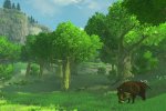Diamo un'occhiata in video ai Korok di The Legend of Zelda: Breath of the Wild - Notizia