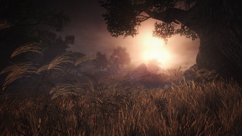 Immagine di Nioh per PlayStation 4