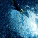 Vari indizi suggeriscono che ABZU sta per uscire anche su Xbox One