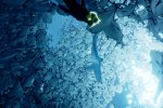 Vari indizi suggeriscono che ABZU sta per uscire anche su Xbox One - Notizia
