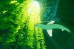 ABZU è in arrivo anche in versione pacchettizzata a gennaio 2017, confermata la versione Xbox One - Notizia