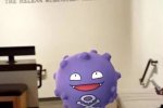 Gli utenti iOS e Android di Pokémon GO vanno a caccia persino nel Museo dell'Olocausto - Notizia