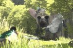 Dopo la conclusione di The Last Guardian, Fumito Ueda dice la sua sulla Realtà Virtuale - Notizia