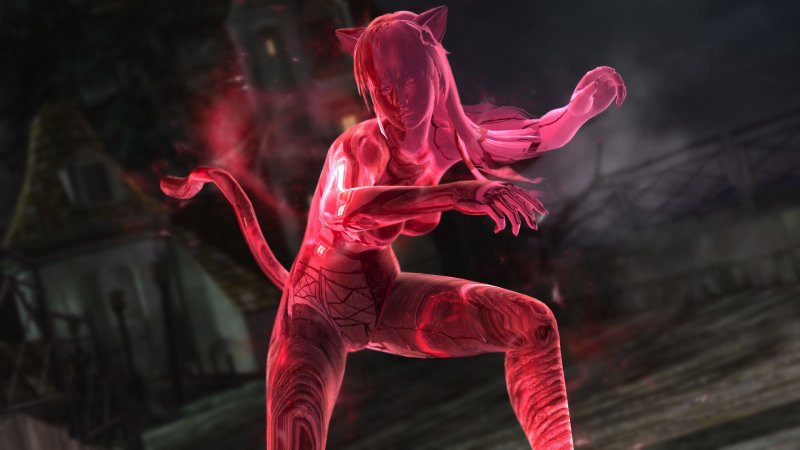 Immagine di Dead or Alive 5: Last Round per PC Windows