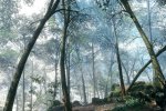 Un utente ha pubblicato delle immagini a 4K della versione PC di Battlefield 1 semplicemente meravigliose - Notizia