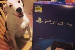 Qualcuno ha già acquistato PlayStation 4 Pro e pubblicato video e immagini in 4K di Uncharted 4: Fine di un Ladro - Notizia