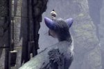 The Last Guardian, nuovo trailer dalla PlayStation Experience 2016 - Notizia