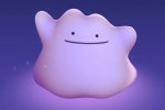 Ditto sta per comparire in Pokémon GO - Notizia
