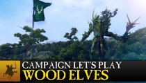 Total War: Warhammer - Realm of the Wood Elves - Video gameplay sulla campagna