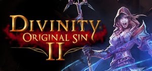 Divinity: Original Sin II per PC Windows