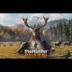 theHunter: Call of the Wild - Trailer
