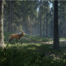 Il simulatore di caccia theHunter: Call of the Wild uscirà in versione retail grazie a THQ Nordic