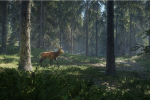 Il simulatore di caccia theHunter: Call of the Wild uscirà in versione retail grazie a THQ Nordic - Notizia