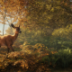 Avalanche Studios annuncia theHunter: Call of the Wild, nuovo gioco di caccia previsto su PC all'inizio del 2017