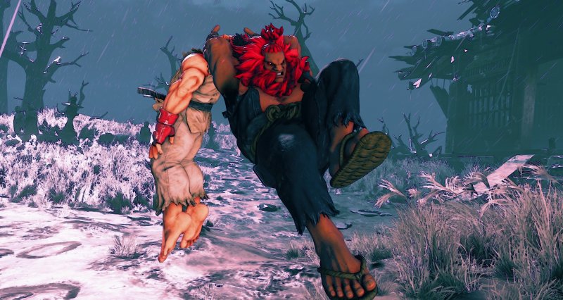 Immagine di Street Fighter V per PlayStation 4