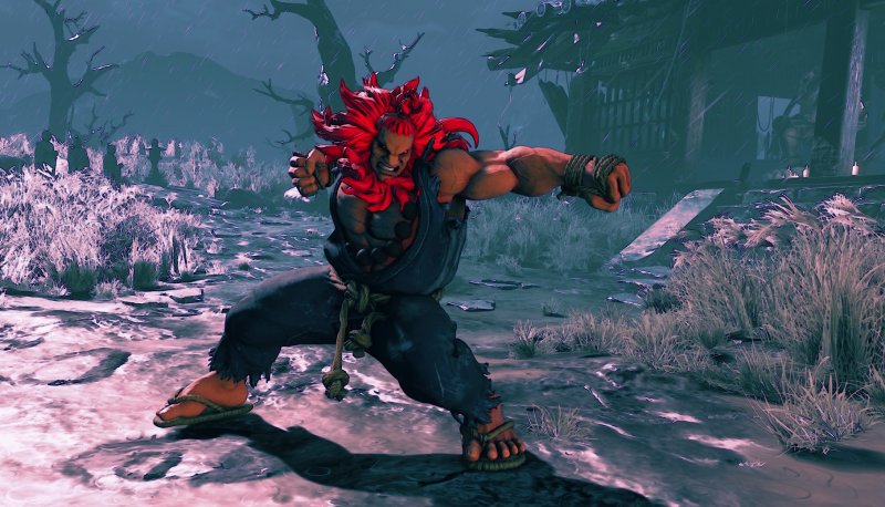 Immagine di Street Fighter V per PlayStation 4