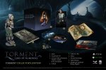 Svelata la Collector's Edition di Torment: Tides of Numenera - Notizia