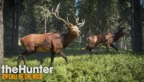 theHunter: Call of the Wild - Trailer gameplay