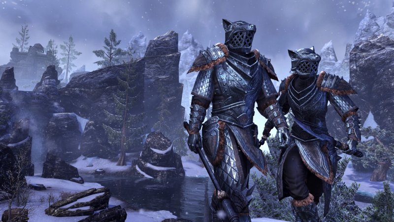 Immagine di The Elder Scrolls Online: Tamriel Unlimited per PlayStation 4