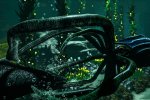 Ark: Survivor's Pack è il gioco più scaricato per PlayStation 4 a gennaio 2017 - Notizia