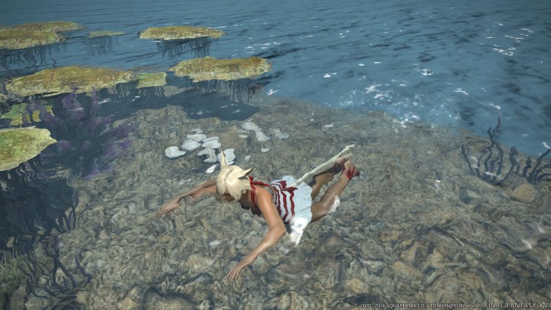 Immagine di Final Fantasy XIV: Stormblood per PlayStation 4