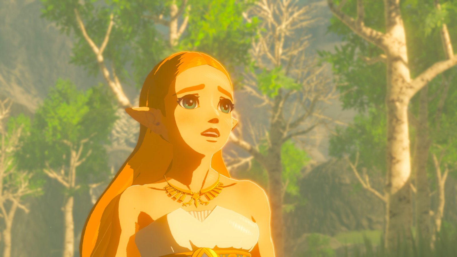 Zelda in The Legend of Zelda: Breath of the wild