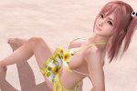 Dead or Alive Xtreme per VR Sense consentirà di odorare le ragazze - Notizia
