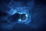KONA è ora disponibile su Nintendo Switch e NVIDIA Shield - Notizia