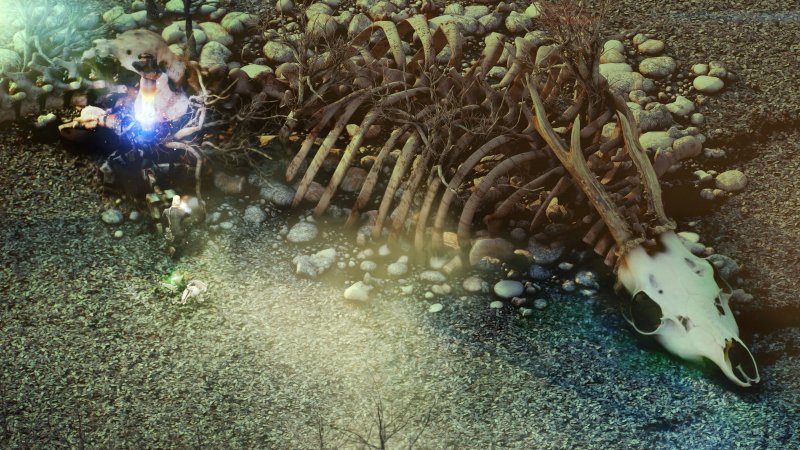 Steam ha sconfitto la pirateria? Beautiful Desolation distrutto: 1000 copie vendute per 50.000 rubate