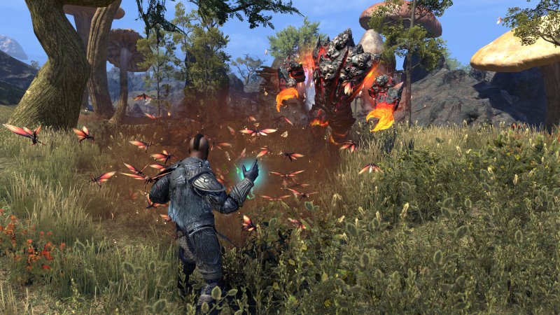 Dopo oltre dieci anni si torna a Vvanderfell! 