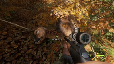 theHunter: Call of the Wild