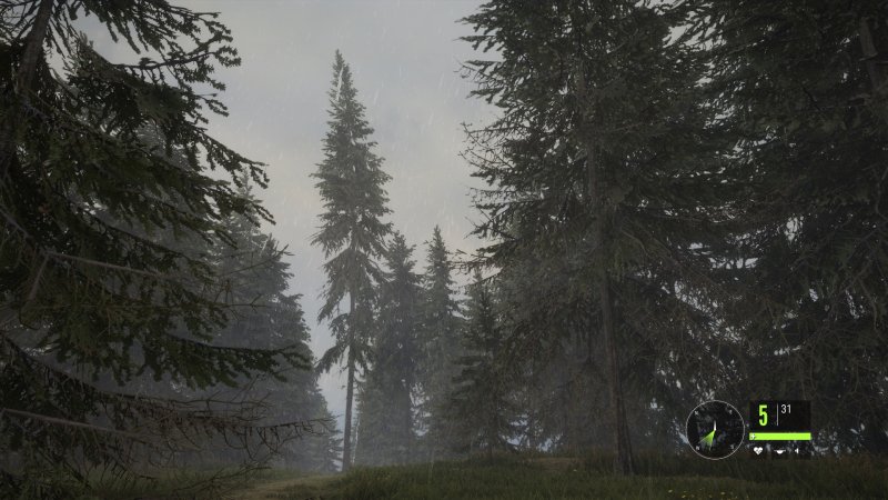 Gli effetti atmosferici sono davvero ben realizzati Gli effetti atmosferici sono davvero ben realizzati