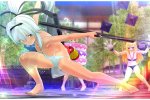 Il producer della serie Senran Kagura sta valutando di ridurre la sessualizzazione dei personaggi femminili per l'occidente - Notizia