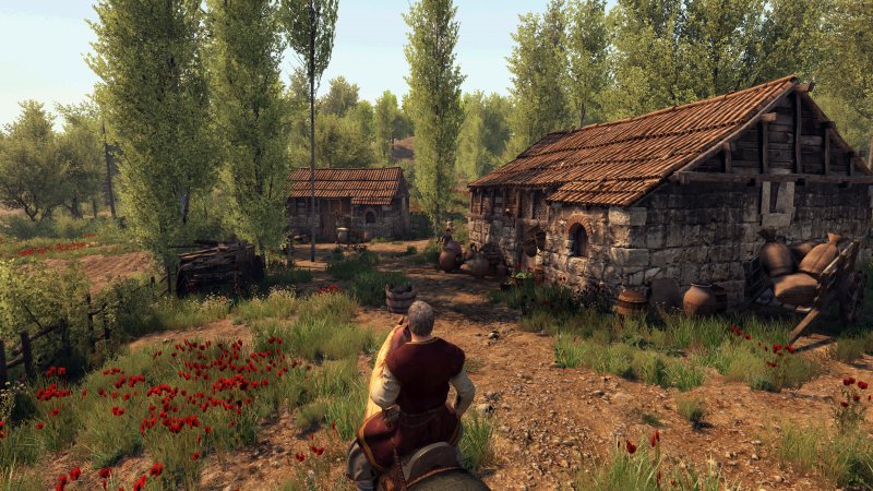 Immagine di Mount & Blade II: Bannerlord per PC Windows