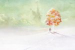 Il destino nel nome - Recensione