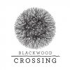 Blackwood Crossing per PlayStation 4