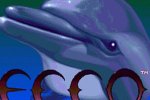 Cosa fa il creatore di Ecco the Dolphin nel quartier generale di Nintendo? - Notizia