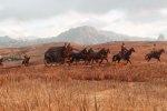 Red Dead Redemption 2 uscirà ad aprile o maggio 2018, salvo ulteriori rinvii - Notizia
