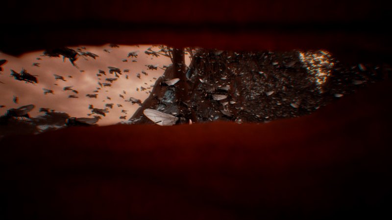 The Fidelio Incident