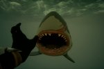 Vediamo un nuovo lungo video di gameplay di Sea of Thieves giocato su Xbox One S - Video