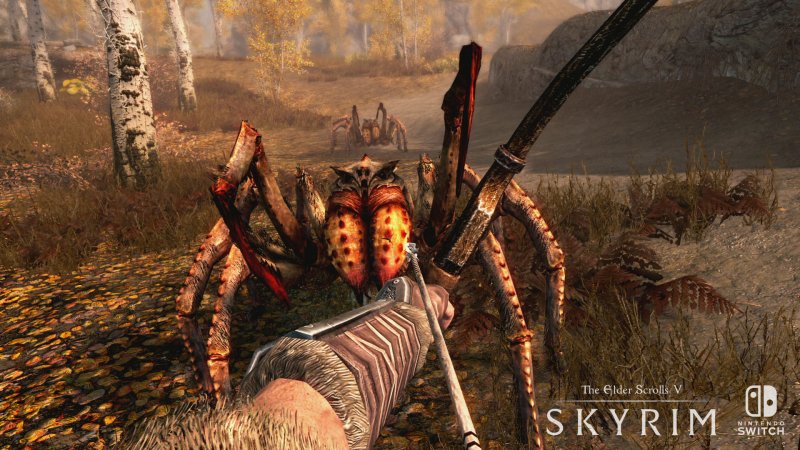 Immagine di The Elder Scrolls V: Skyrim - Special Edition per Nintendo Switch