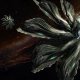 Ci siamo: i Thargoids stanno veramente arrivando nell'universo di Elite: Dangerous