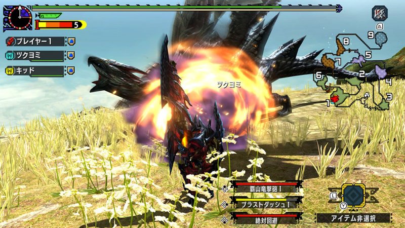 Monster Hunter XX
