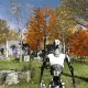 The Talos Principle disponibile per sistemi iOS