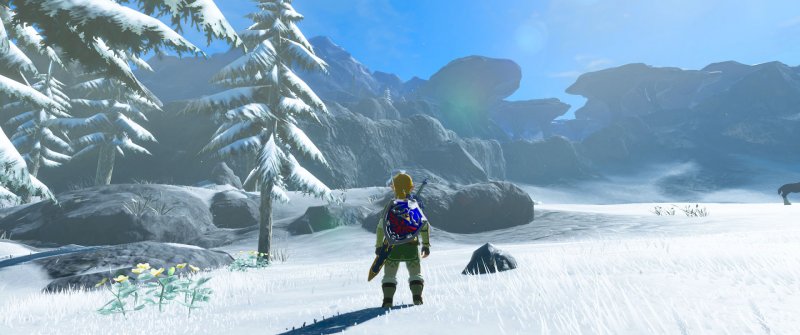 Immagine di Curiosità