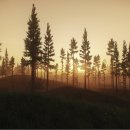 Nuove immagini di Escape from Tarkov mostrano l'ambientazione "Shoreline"