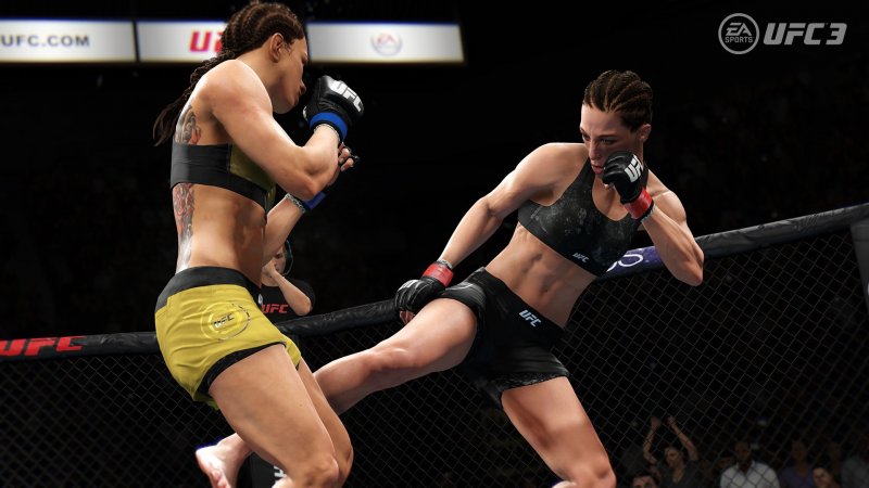 Facciamo il punto su EA Sports UFC 3