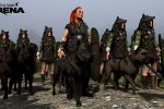 Total War: Arena è andato male, chiude i battenti - Notizia