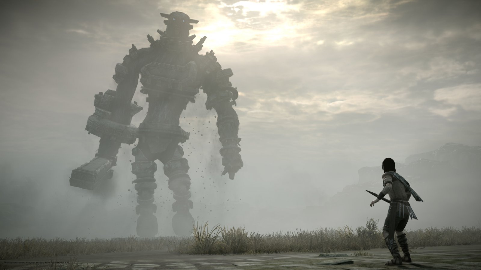 Shadow of the Colossus su PS5: il problema delle texture in bassa risoluzione sembra risolto